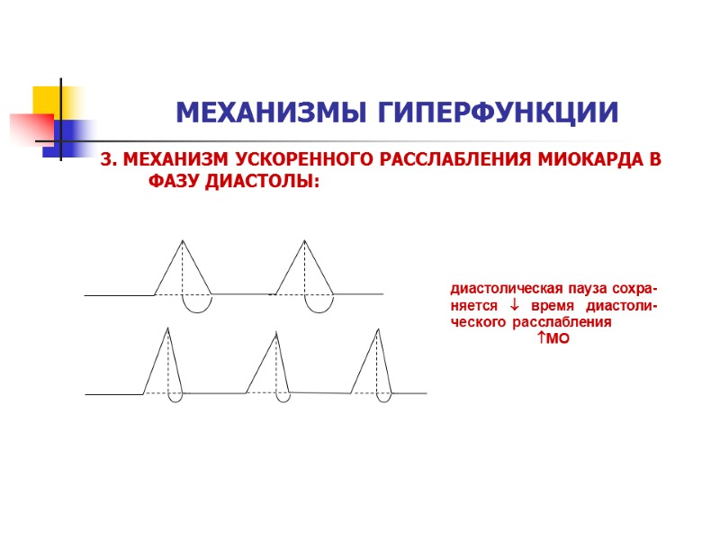 МЕХАНИЗМЫ ГИПЕРФУНКЦИИ 3. МЕХАНИЗМ УСКОРЕННОГО РАССЛАБЛЕНИЯ МИОКАРДА В ФАЗУ ДИАСТОЛЫ: